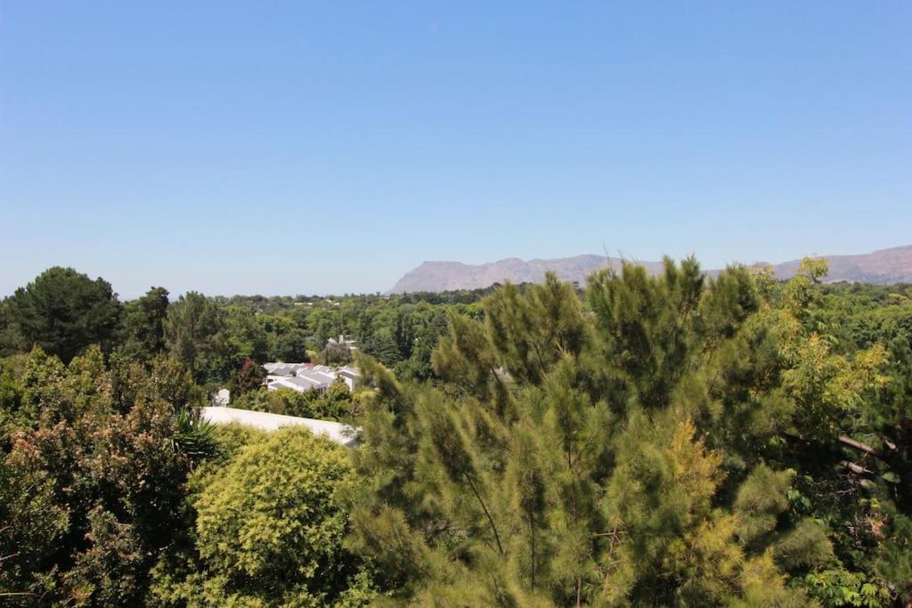 Alphen Drive Apartments Cape Town Ngoại thất bức ảnh